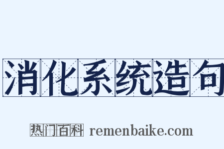 消化系统造句是什么意思的图片